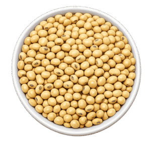 SOYBEAN